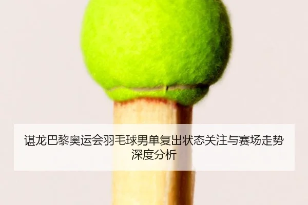 谌龙巴黎奥运会羽毛球男单复出状态关注与赛场走势深度分析
